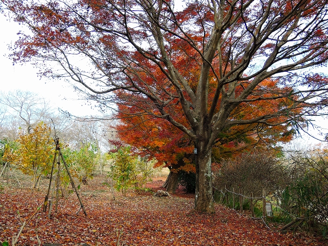 DSCN2418