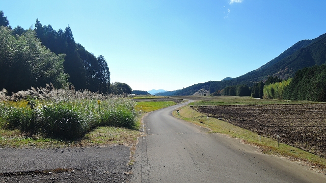 DSCN3288