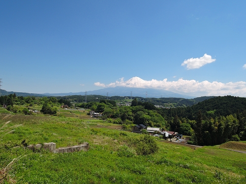 DSCN1490