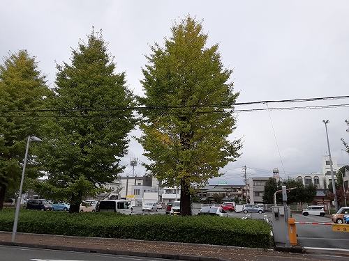 241030-01