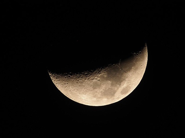 260223P2230007