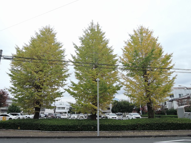 251113-01
