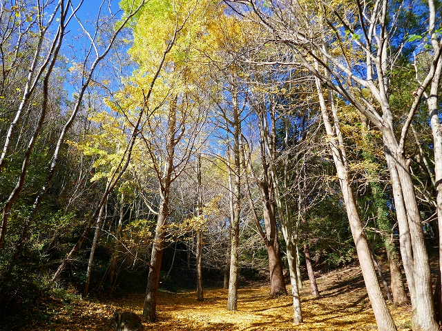 P1000526