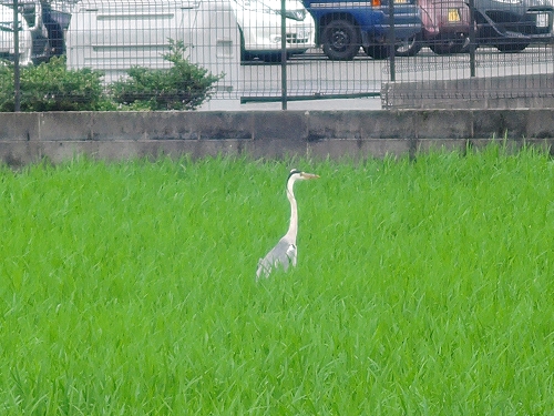 DSCN2078