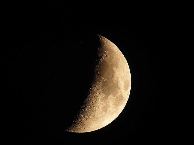 830823P007