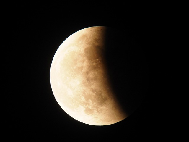 221108mon174