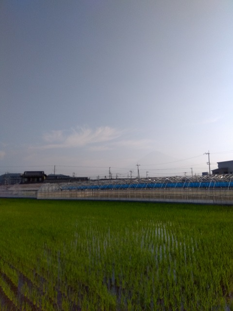 260709-01
