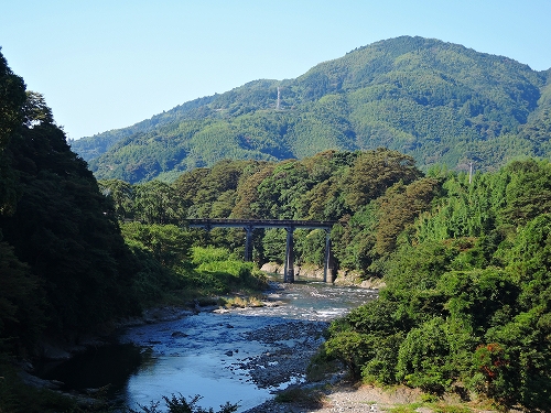 DSCN3445
