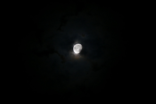 230707P698