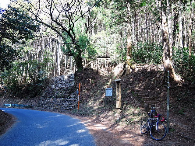 DSCN0601