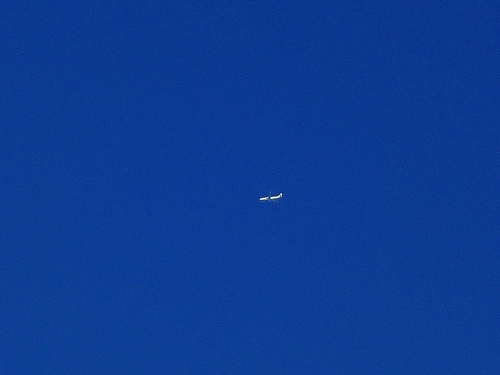 DSCN6369