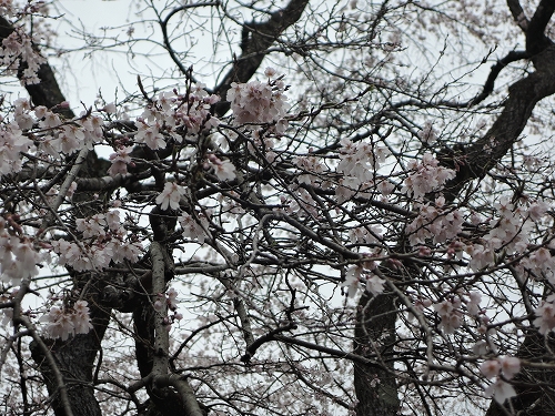 230319-06