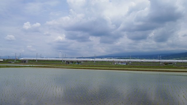 P1010969