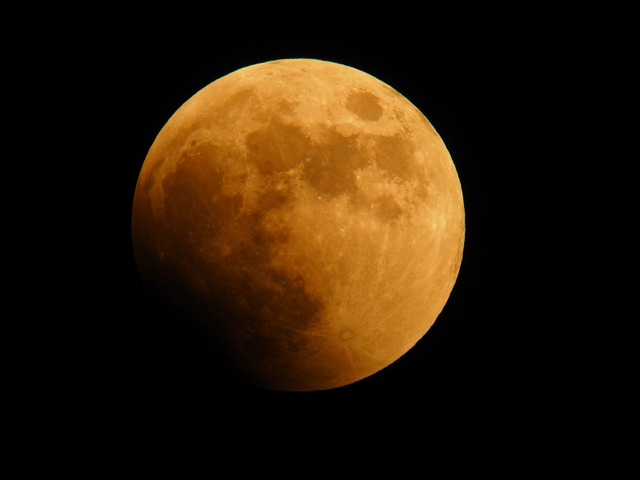 221108mon006