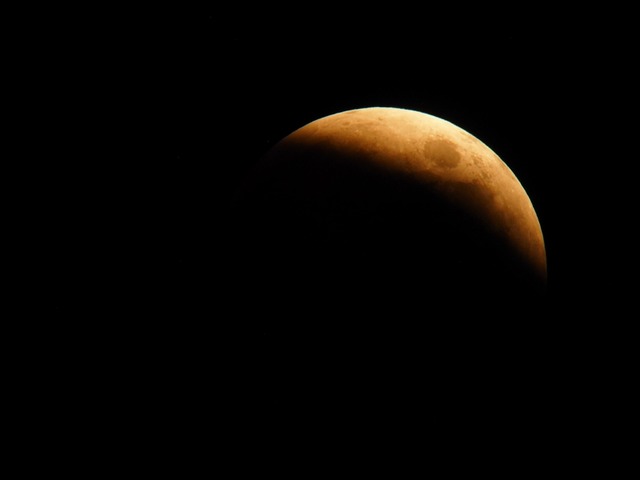 221108mon052