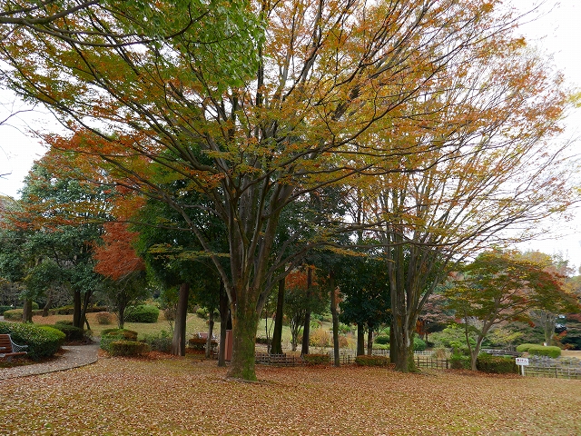 P1000467