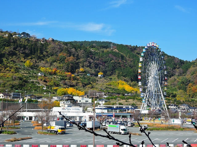 DSCN2337