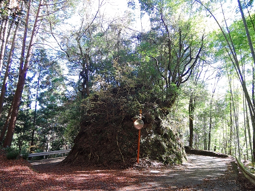 DSCN6028