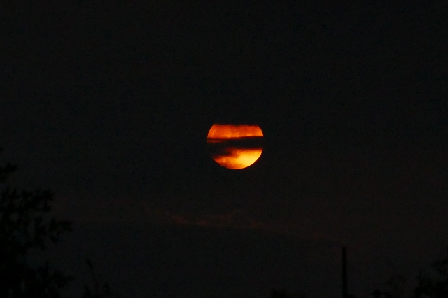 230929P0889