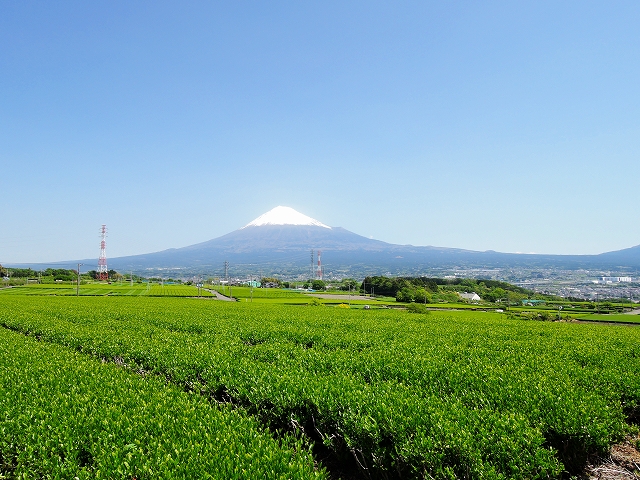 DSCN1823