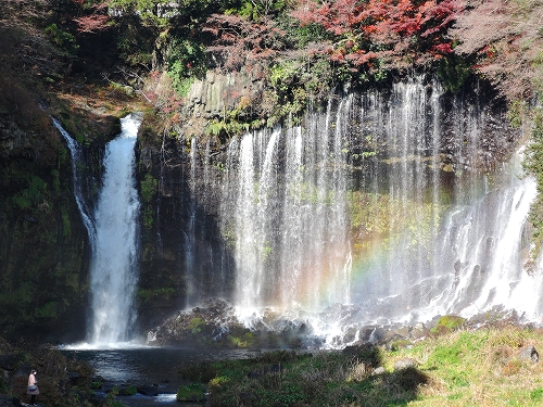 DSCN5902