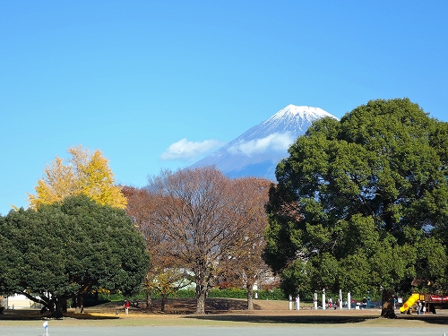 DSCN5499