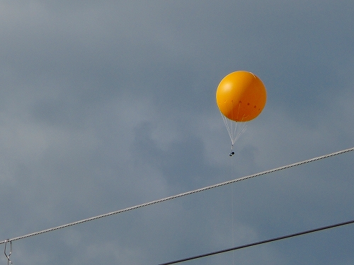 DSCN0248