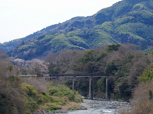 P1010049