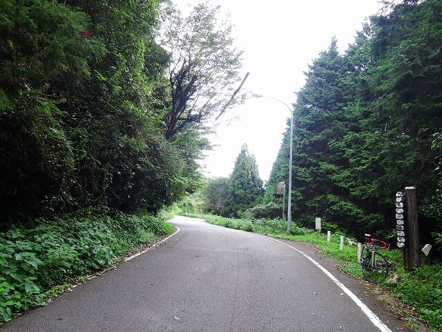 DSCN1506