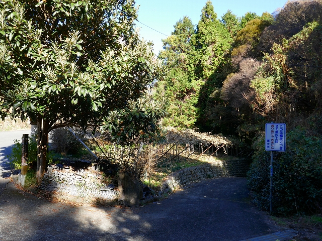 P1000908