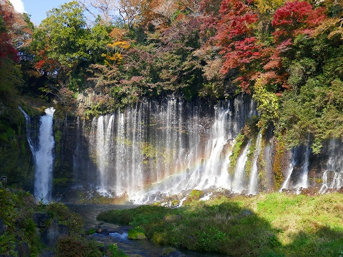 P1010388