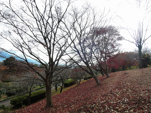 DSCN2407