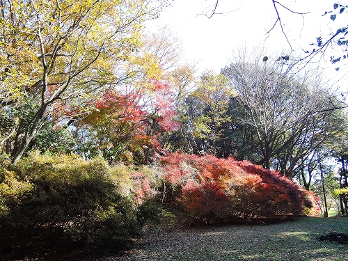 DSCN5712