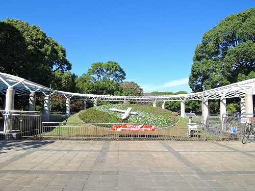DSCN5008