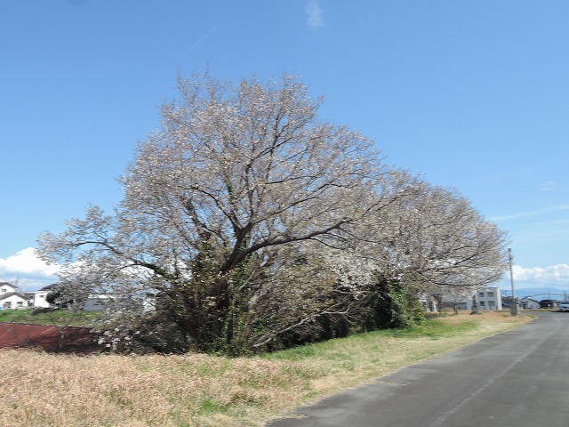 260327-05