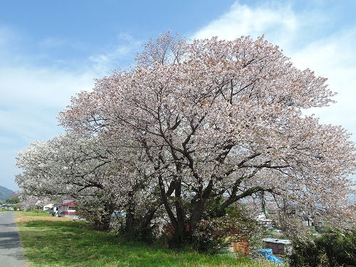 DSCN1259