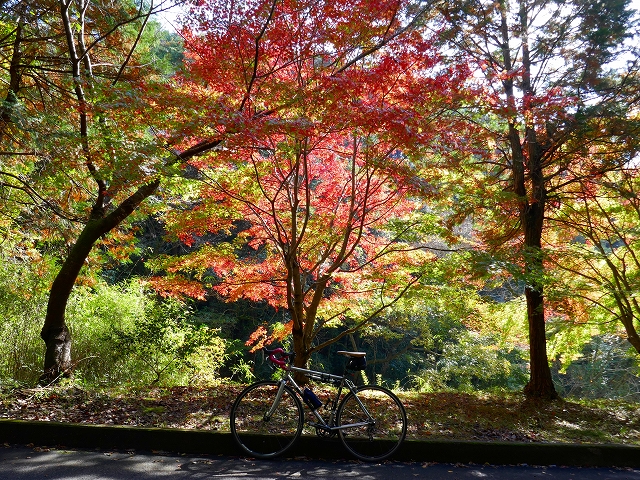 P1000409