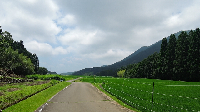 DSCN2164