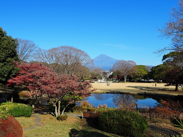 DSCN2686