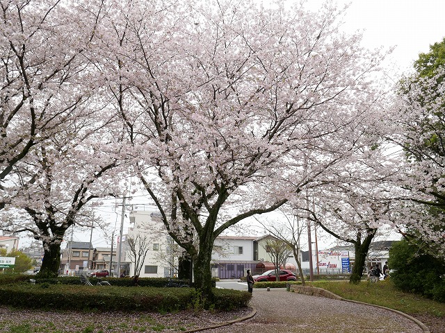 260405-01