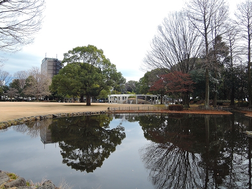 DSCN0642