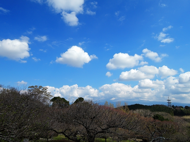 DSCN0917