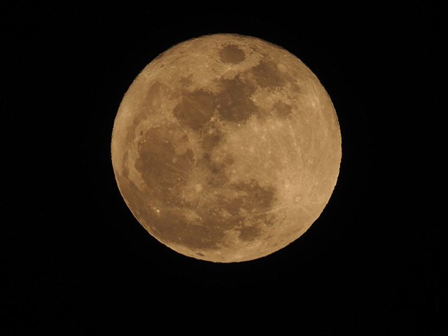 260402P4020003