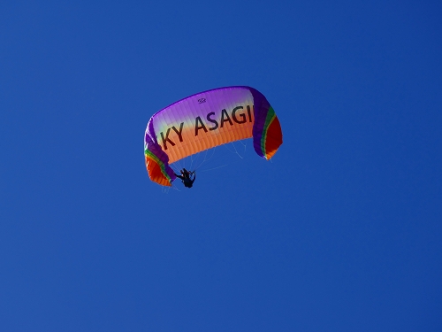 P1000581