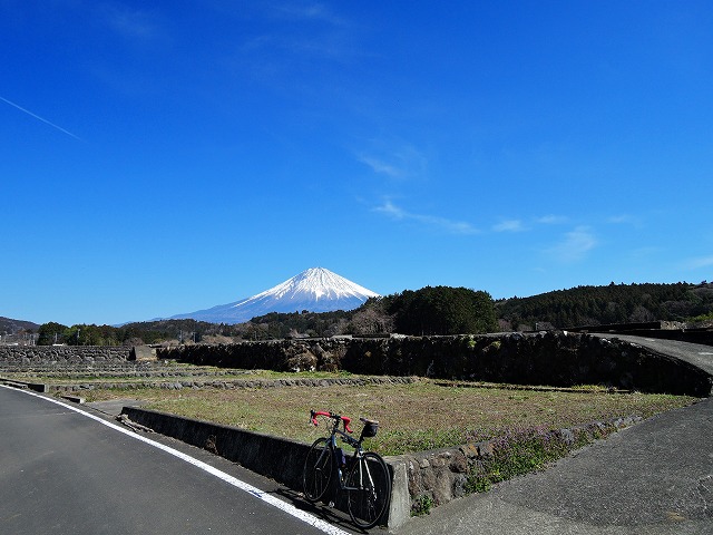 DSCN0619