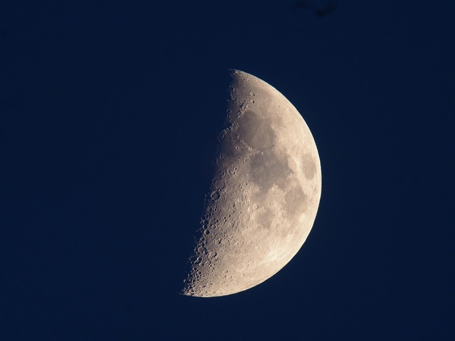 230527P031