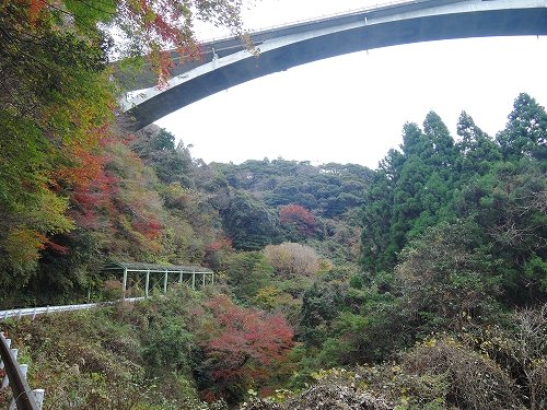 221204sudo06