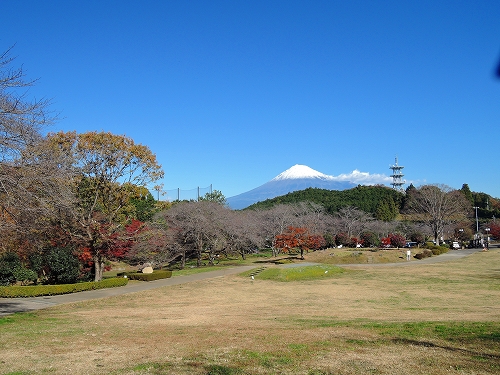 DSCN5706
