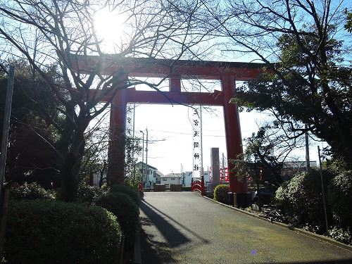 DSCN6386