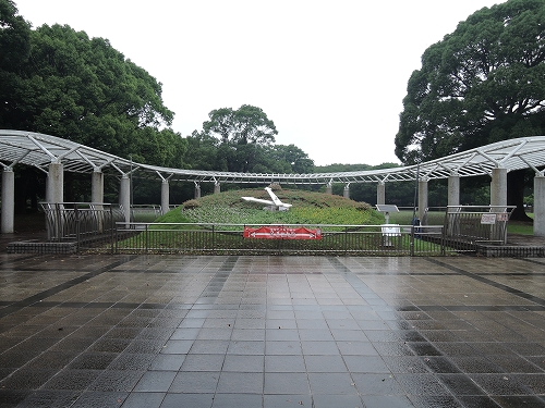 DSCN2669